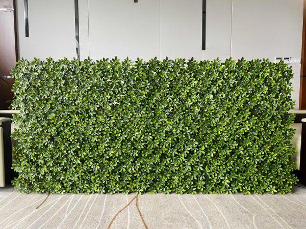 Introducing Our High-Quality Eco-Friendly Artificial Hedging