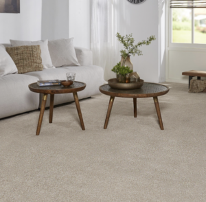 Discover the Perfect Range of Carpets to Suit Any Home